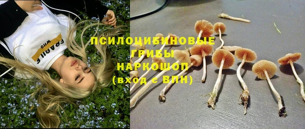 соль ск Белокуриха