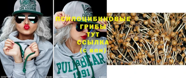 соль ск Белокуриха