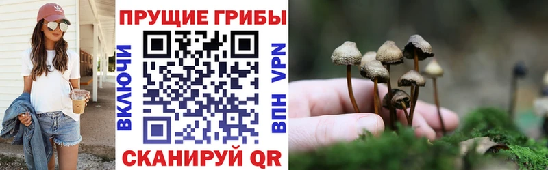 Псилоцибиновые грибы Magic Shrooms цены Полесск